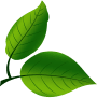Brand Shape
