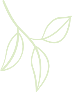 Leaf4