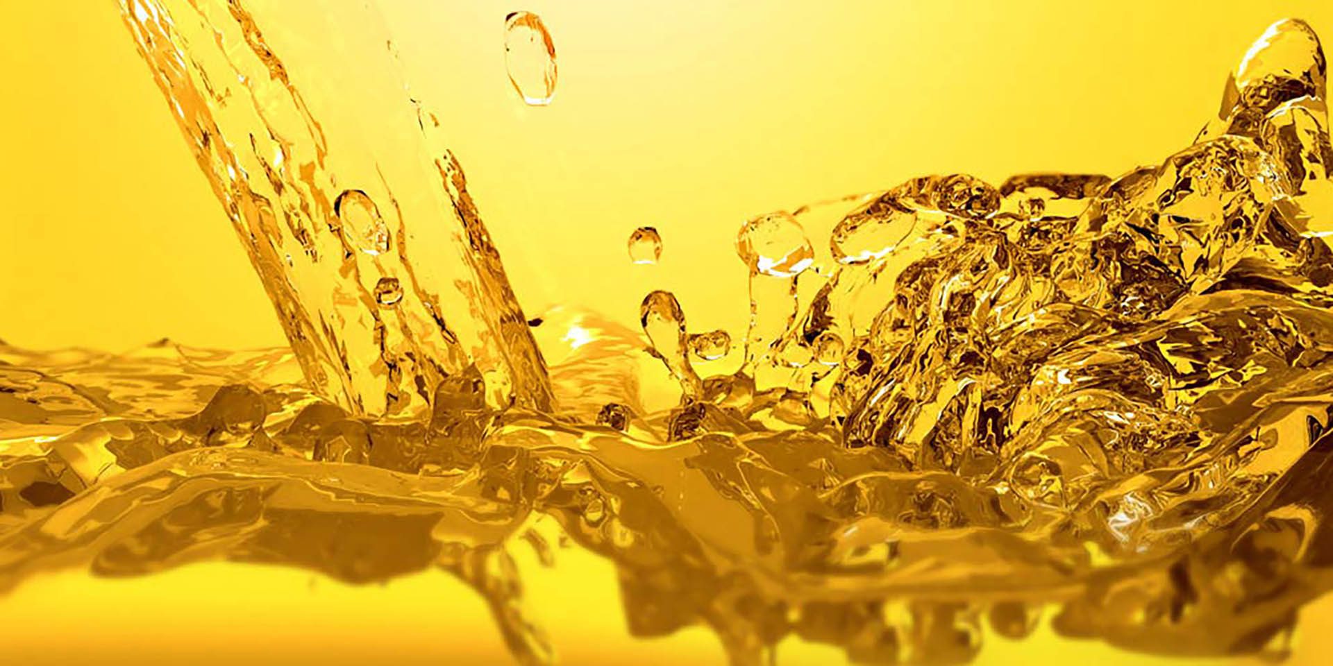 Al Ola Egypt For Waste Cooking Oil Collection
